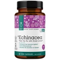 BEET Goodness Echinacea